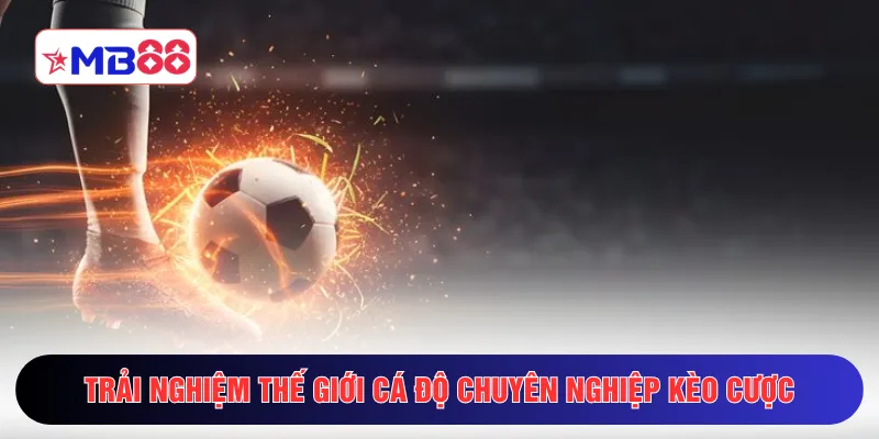 Trải nghiệm thế giới cá độ chuyên nghiệp kèo cược